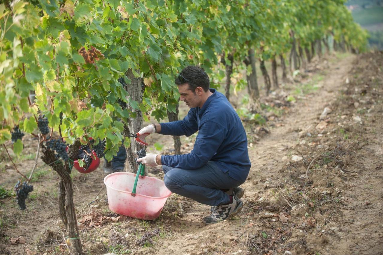 La Valletta Boutique Wine Estate Panzano in Chianti Luaran gambar