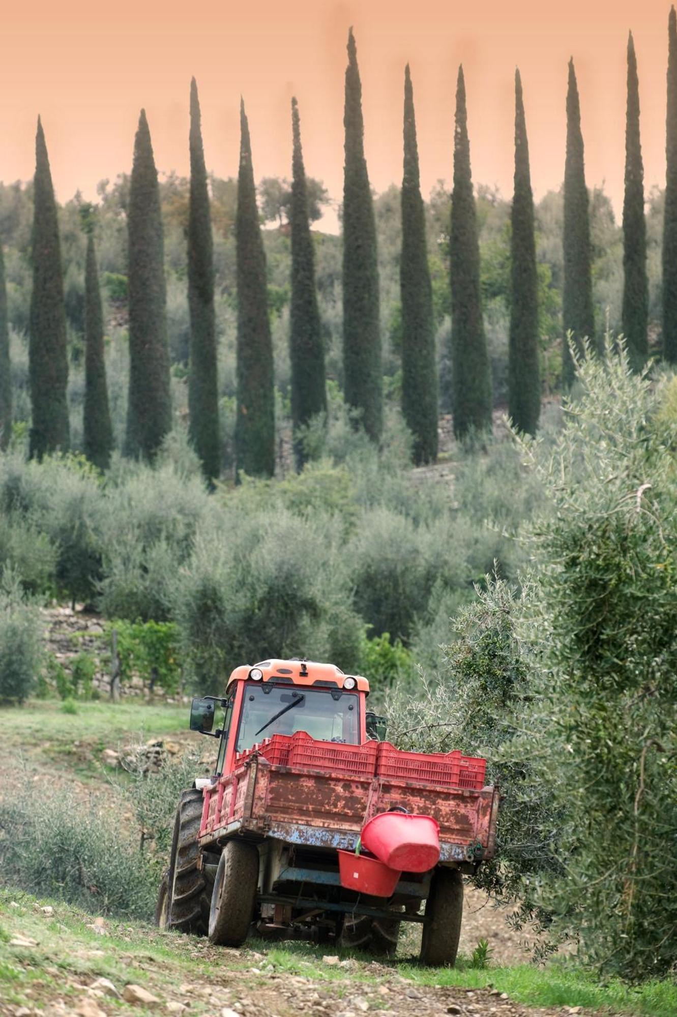 La Valletta Boutique Wine Estate Panzano in Chianti Luaran gambar